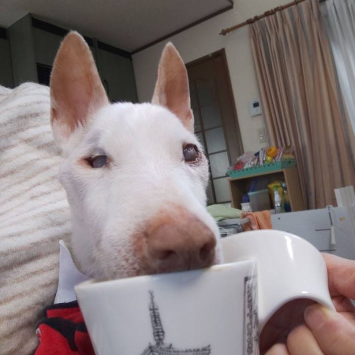 47645be6 a6d4 41c7 9307 ebcd71327438 1616023465258