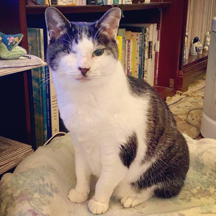 4764a427 c3dd 4fa2 a547 bdd24edc256f 1582970705899