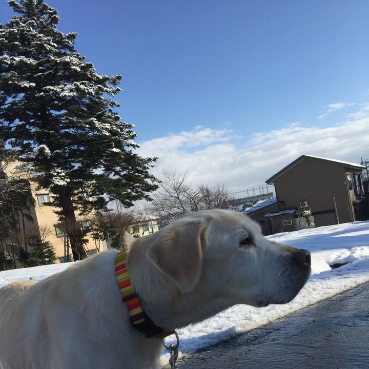 4764dafa 6a3a 4db7 94b4 ba7ecb174fc4 1515159415757