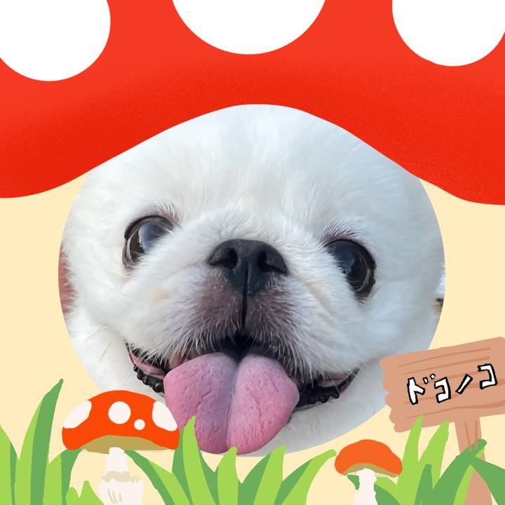 476500e3 12ce 4786 b136 a6cc853e2856 1729377557222