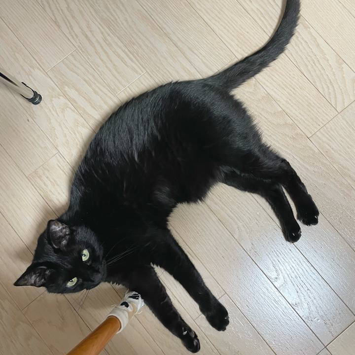 47653408 bf98 4d8f a68d 6fa0aa11d71a 1646312320116