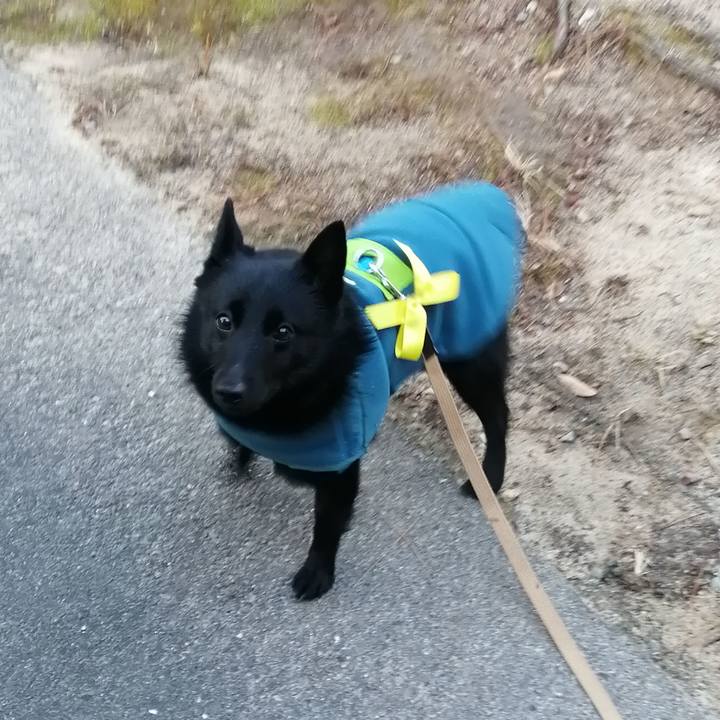 47653b70 a47f 4402 bddf 3c9bcc4e064b 1643668285210