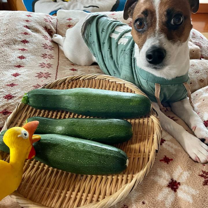 47657fd1 6e02 4c54 83cb 911fd6eeadf2 1655790280387