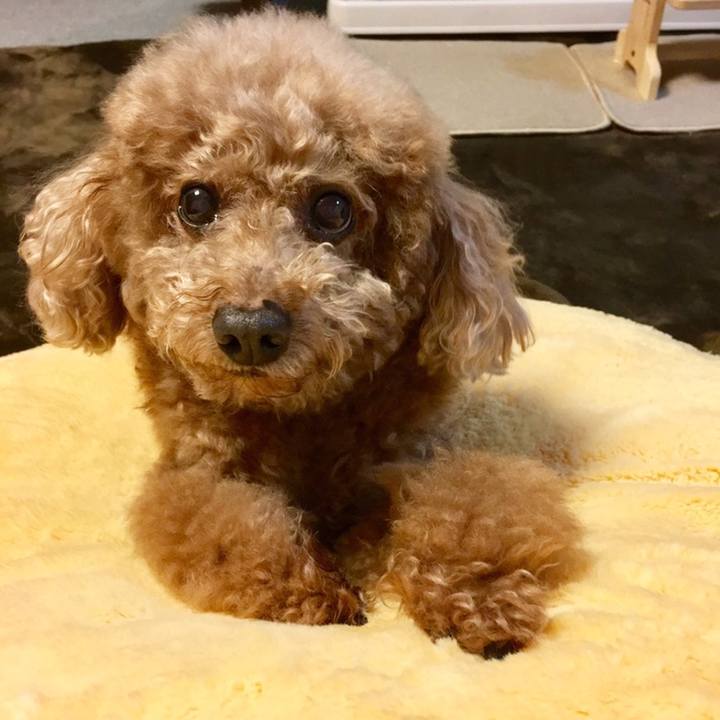 4765a6c0 7380 4df1 813c 8372dd1726cc 1577878861591