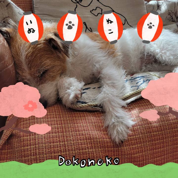 4765b760 dabe 42e7 b7b4 528dc59a8479 1712230302914