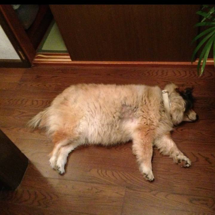 4765ddf9 4a70 420c b9b2 0f538d42202c 1639315580383