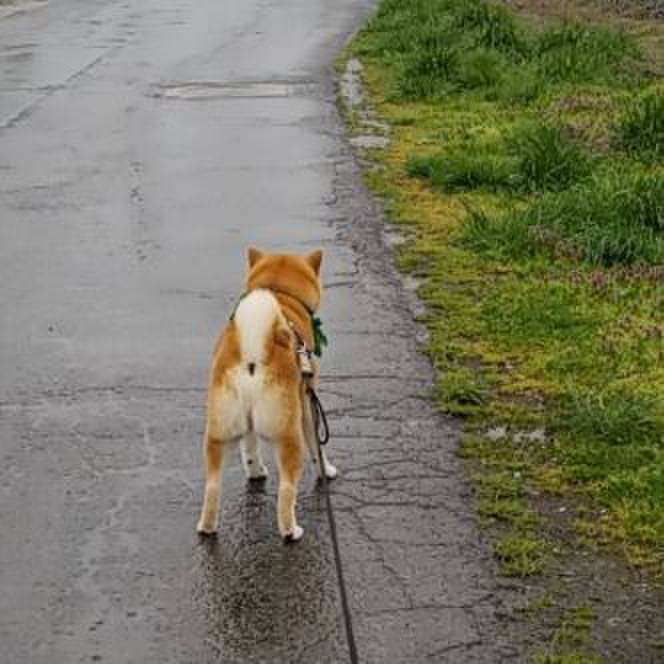 4765f8aa a56d 4b13 b090 ba14186b2a26 1556342947557