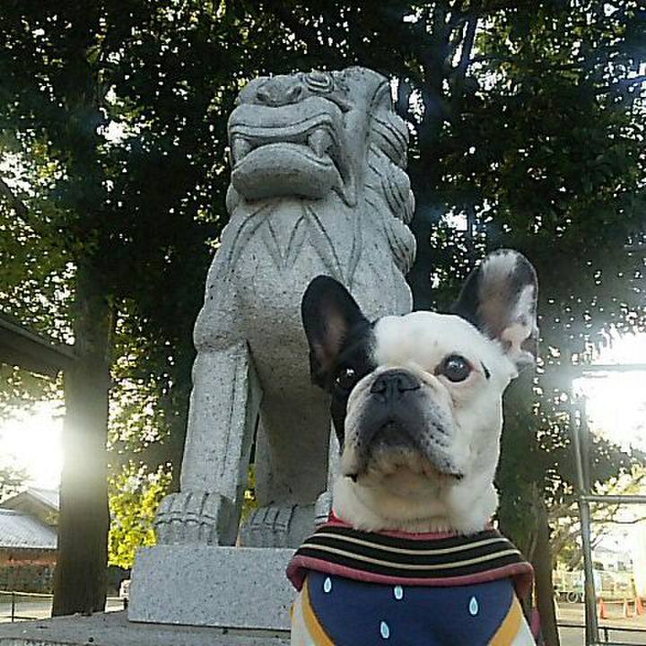 4766055f 6e1d 461c 8950 430e5f8dc248 1541245372861