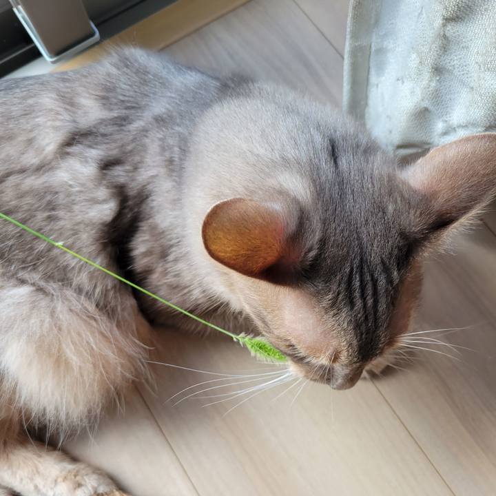 47660e0e f002 4b99 a8f7 ca371ae91f76 1657519897611