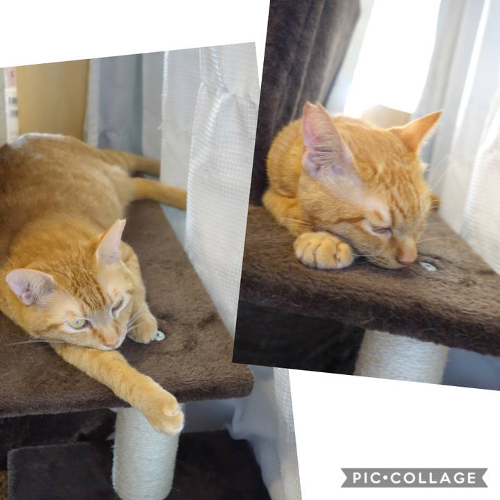 47661245 bf09 4953 907f e8ab93c1a424 1588388326353