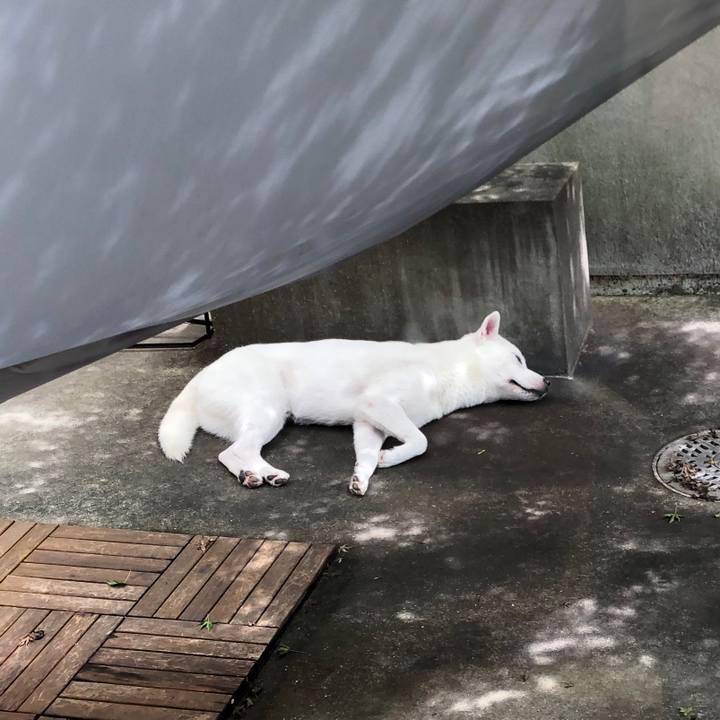 4766289c 3584 43af 8448 80872df7f0ad 1563876262031