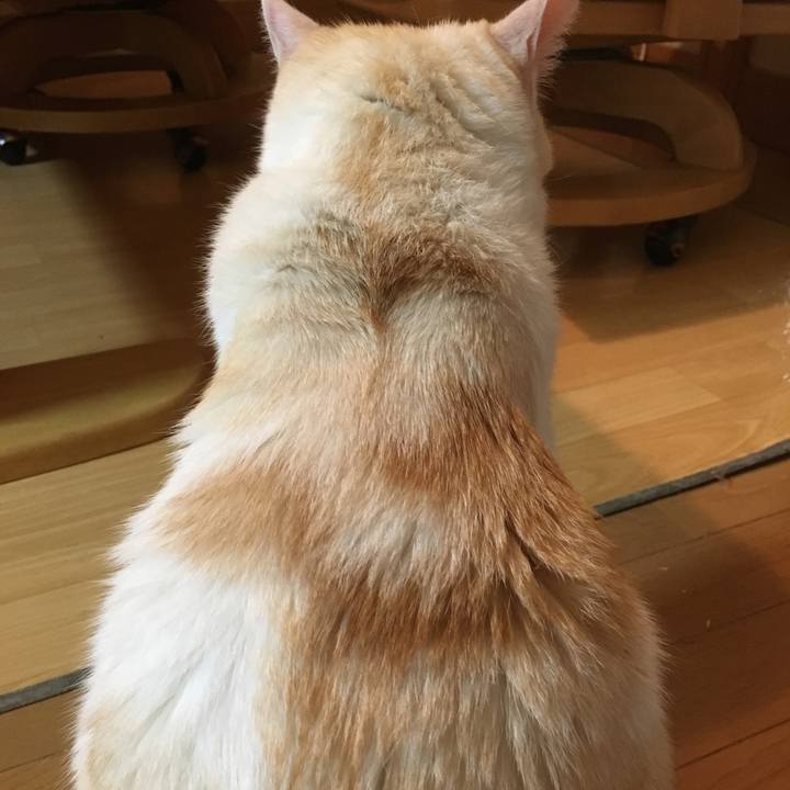 47664b71 51c1 465e 8f09 e528ae3cfd63 1520596670053