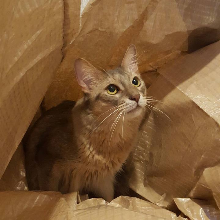 4766957d 9fba 422a 871f 65484078a31f 1568604748586