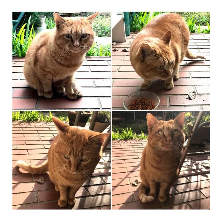 4766b16c 6412 441c 9fc8 6b4472c0bcbe 1621209267173