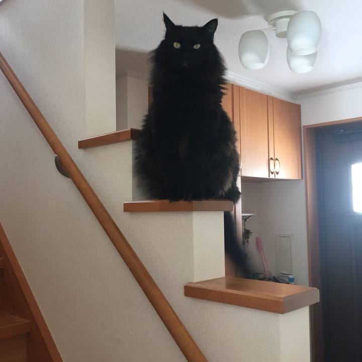 4766b5da fd43 4dd3 911a 35f04a2750c7 1550483082940