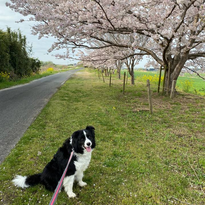 4766cec4 4283 42cf ad2e 1dad08e3f379 1648600037260