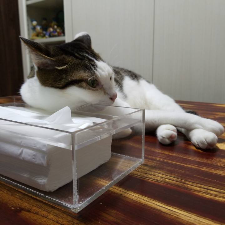 4766f4da 1fe7 48b1 89f9 7f7978c23ab6 1564316544687