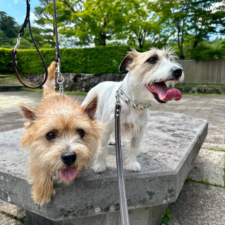 4766f55c 5e97 4bf8 96d5 8fd621676505 1717307053812