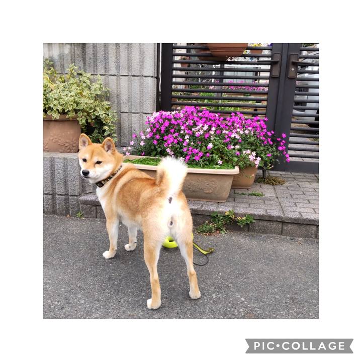 476703b9 d996 4272 b694 691f6603d7df 1679015042479