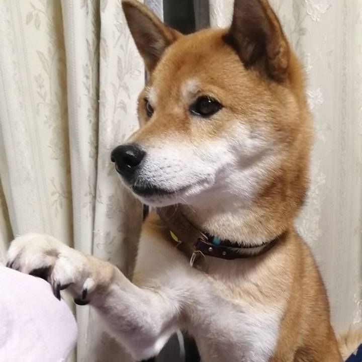 47672540 717c 4aa8 b3a5 1152367a1d04 1605962215098