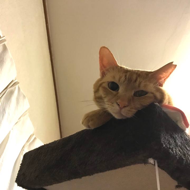 47673b3a 0829 48f8 a803 6e939eb67f97 1591632076062