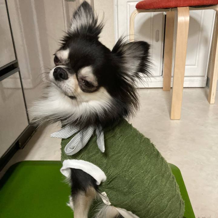 47676944 e2d5 46c5 a40f 071d8f15b809 1638022167742