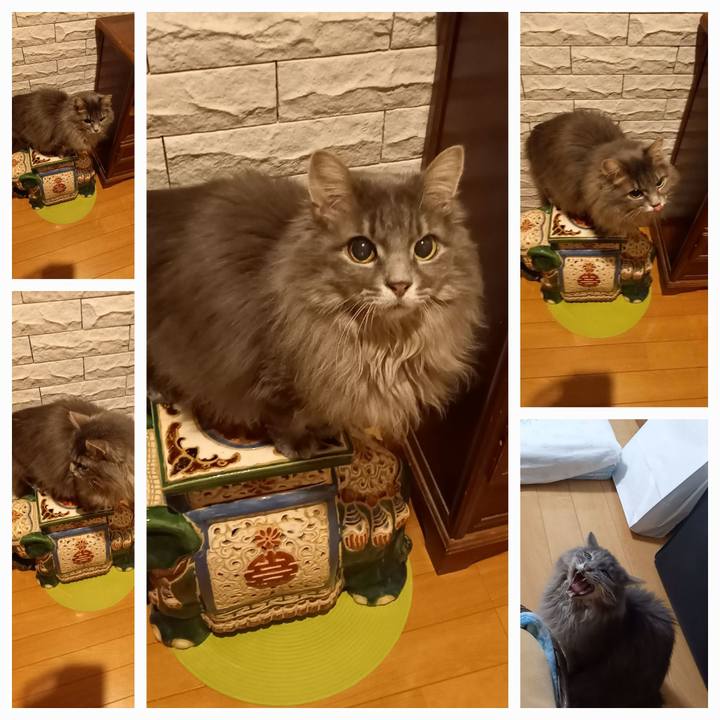 47679cfe 528b 45e9 a0d8 f9802e41d532 1674464815457