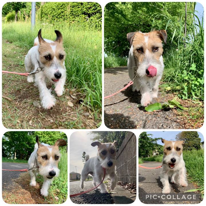 4767db12 9dc2 4251 b357 3dd864fad925 1620359684430