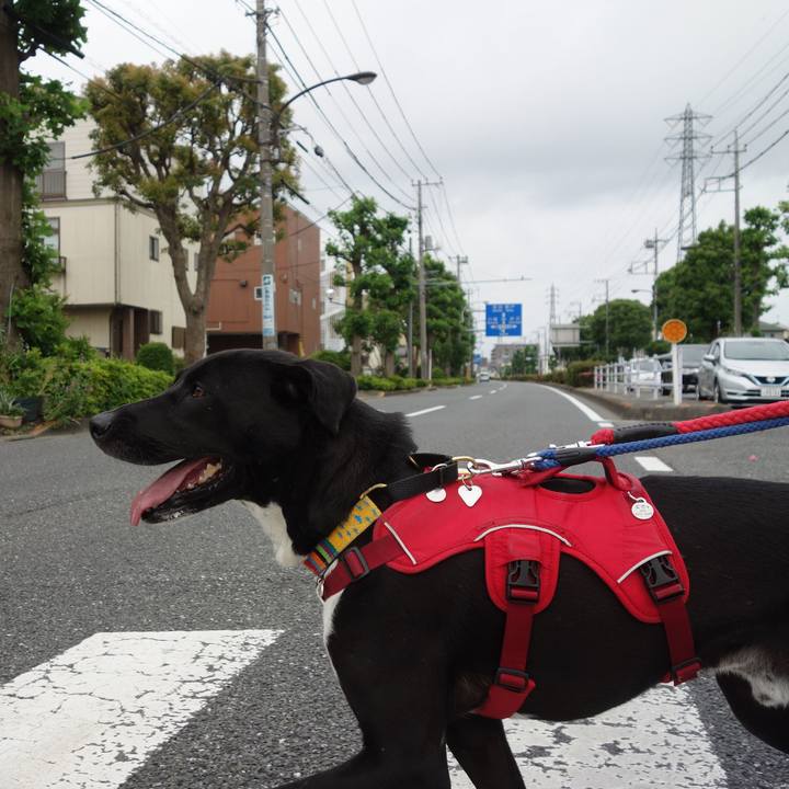 4767f202 b223 49aa 9d21 932d1414c630 1590886432522