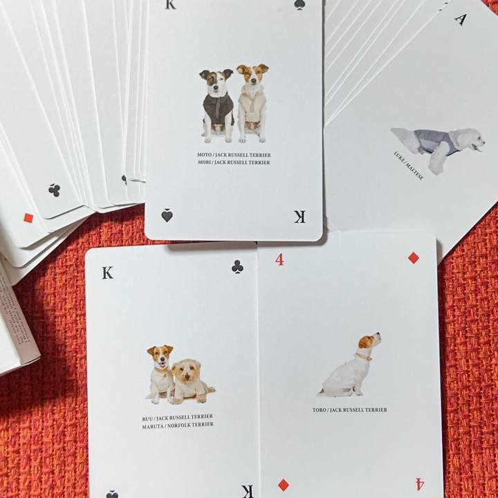 4768034c 3ca7 4e14 9f8e fd35bcc0db11 1646915611426