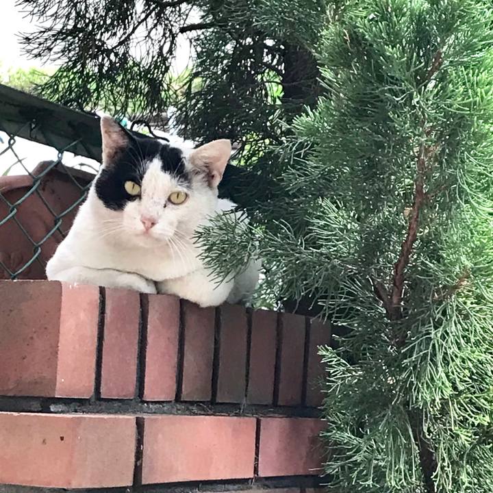 47680ccf dc54 43b4 a04c 6cf606c2784d 1536409384456