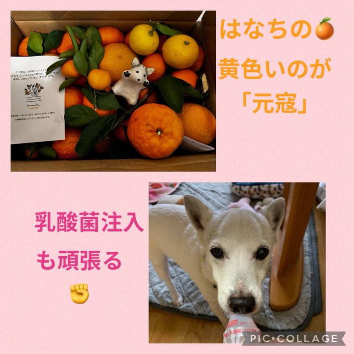 4768193f 356a 4bf3 b5db 24c4e9c50806 1704927267027