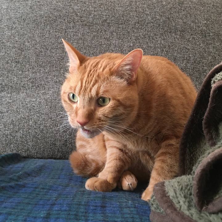 47682234 3183 4af5 a659 90022dde93f1 1581146733031