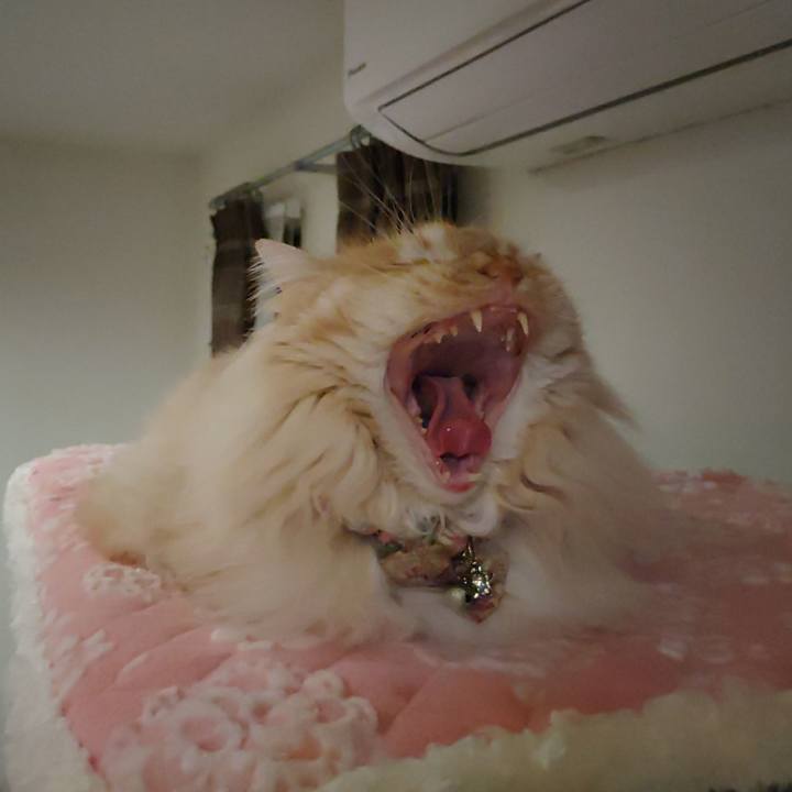 47683f9a 0f04 4d27 a6e6 d1cfa992d120 1711976914074