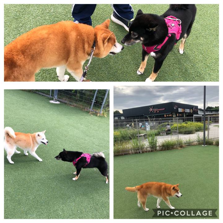 476840e3 899a 4289 847b f101496cd355 1568714037439