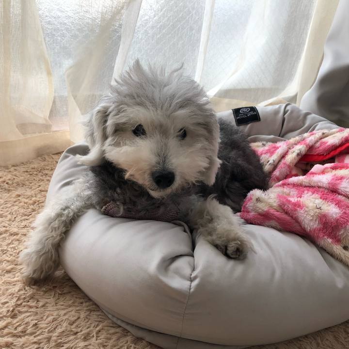 47684deb 0fe9 4d14 ab32 93033dfca015 1665795112136