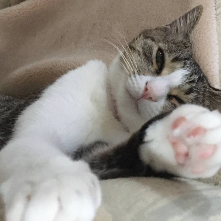 4768a45e bbd8 413f b12a d019687a8769 1666953772930