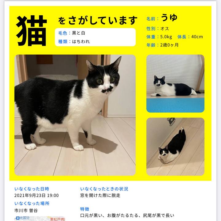 4768aa68 048d 4b4f 9594 87385057c36c 1632995439421