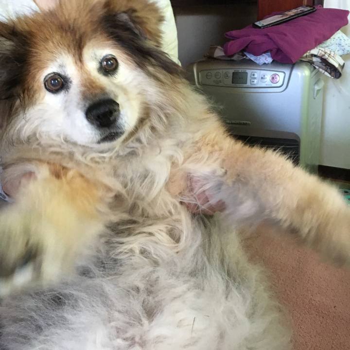 4768afe5 605b 4c2c a69b 3f5f16d1e673 1582424890493