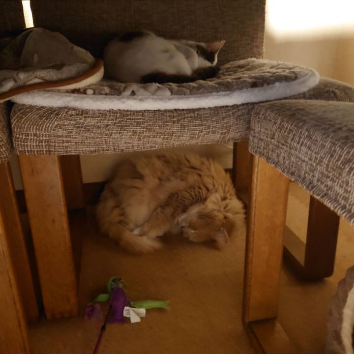 4768ebb1 3b44 4fbf 811a b735d3b3c55c 1698707049829