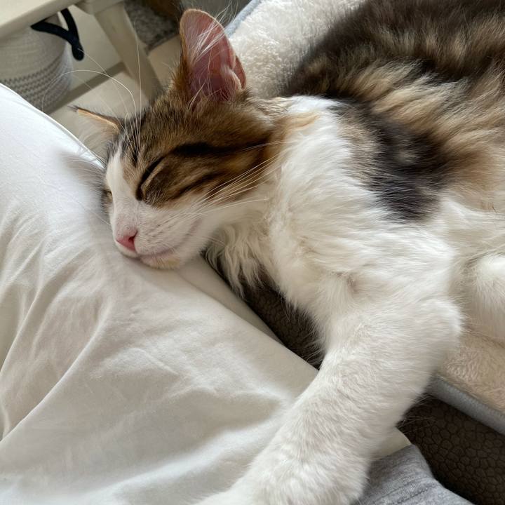 47691ed3 ba36 4ef5 8835 dad695106a12 1635652557014