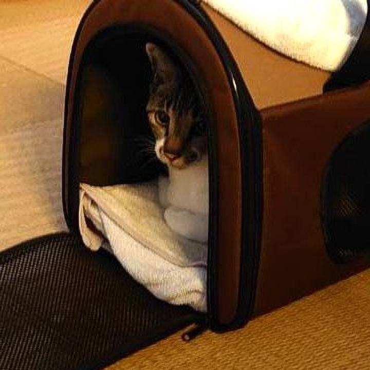 476938b2 2259 4064 941c 5eb7f3842756 1713242931947