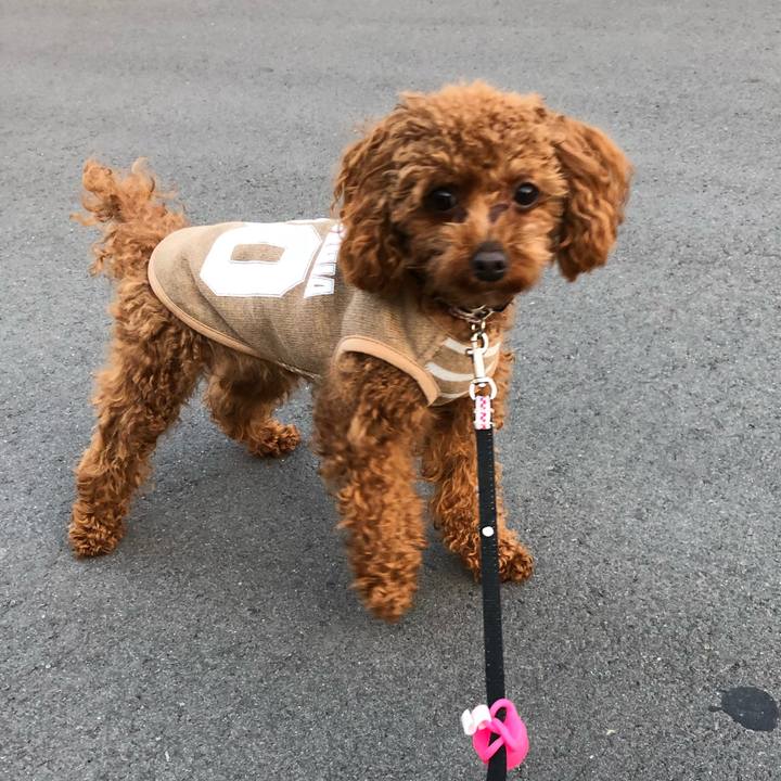 4769706f f038 4e1d a862 4e7acaa3bb87 1520152687045