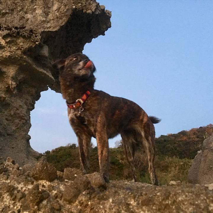 47697af5 c2de 46a8 a019 987785991f96 1517407741998