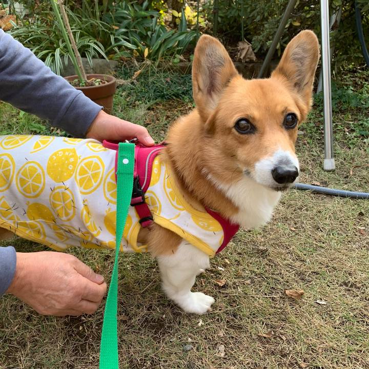 4769b5c3 433f 4d4a af37 47211f8de342 1639119292705