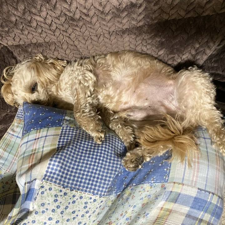 4769dd9a 56e6 4d02 aaa2 4a57c2a2fc2f 1614051610864