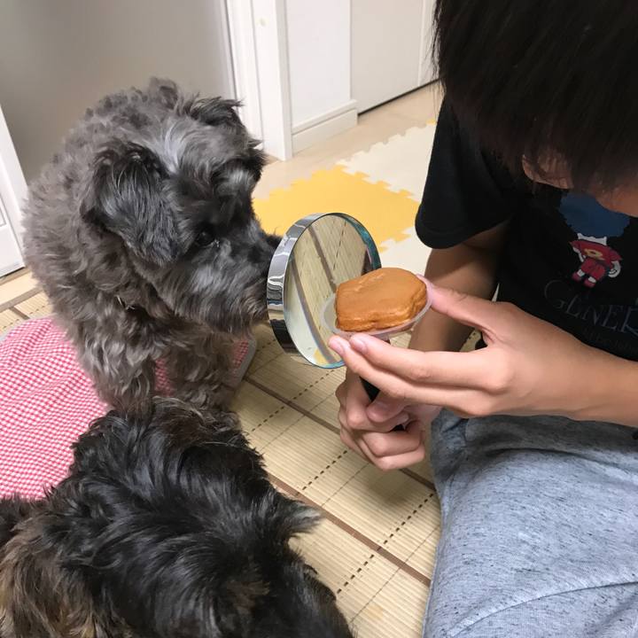 4769e2b8 0039 4b99 a081 b957e2c206f4 1508061250119