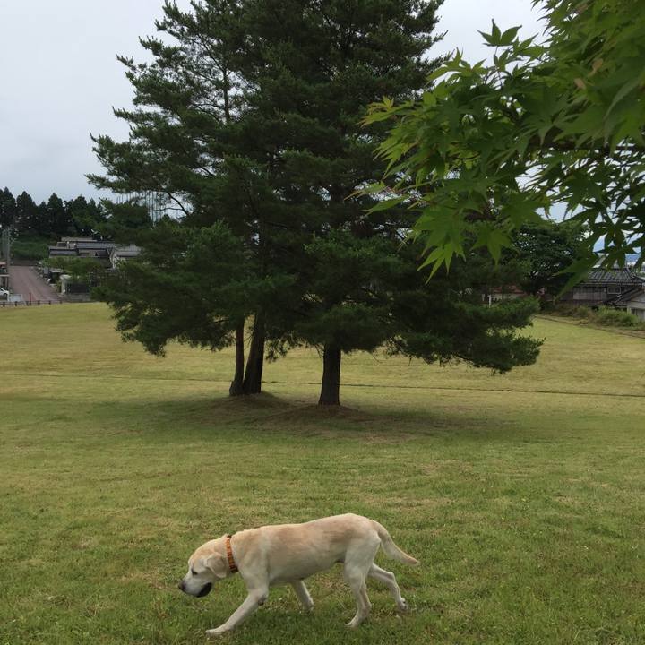 476a2144 37e6 47bc 8676 e4e0de6ccc77 1529471392905