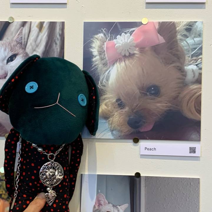 476a243e aa2e 4eff b4d7 e8ebd9eb74a4 1765797805303