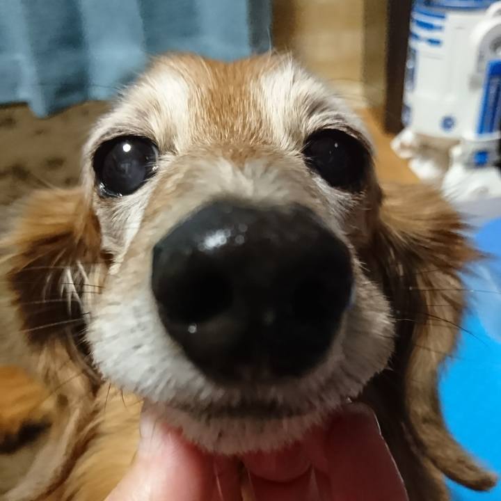 476a2973 94a6 419b 8a31 f8527ec2ae15 1516487302049